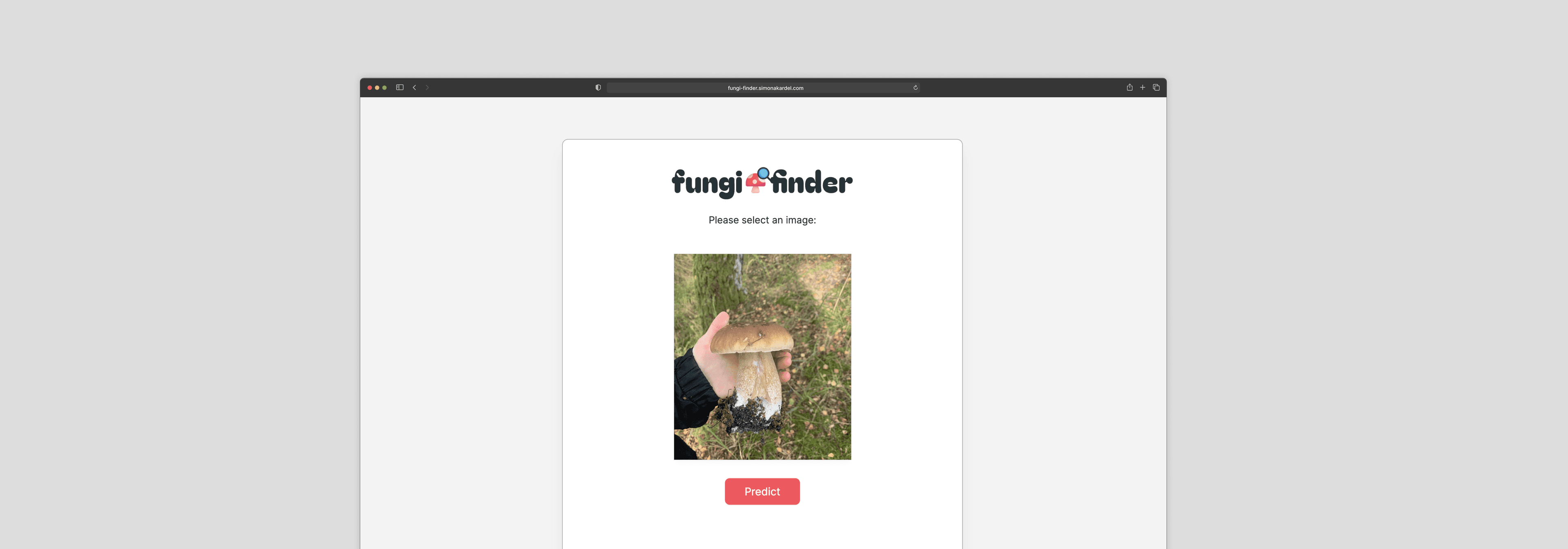Fungi-finder